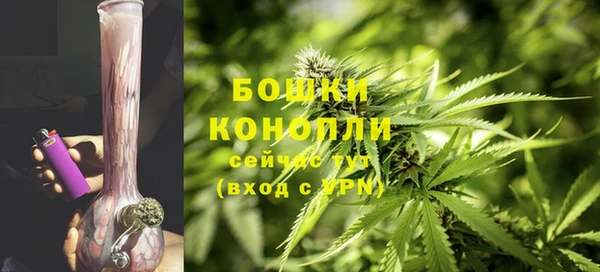 прущие крисы Вяземский