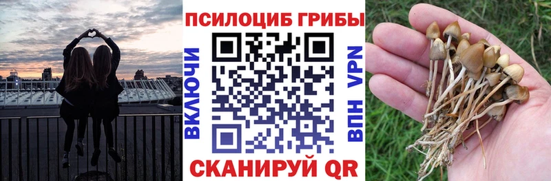 Псилоцибиновые грибы GOLDEN TEACHER  Купить где  Нерехта 