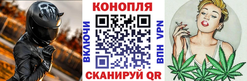 Купить закладки  Нерехта  Конопля ГИДРОПОН 
